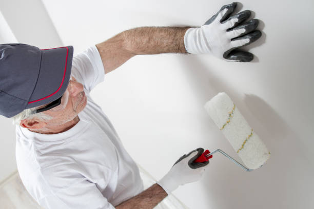Best Comprehensive Air Testing for Mold Contaminants  in San Juan Bautista, CA
