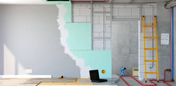 Best Black Mold Removal  in San Juan Bautista, CA