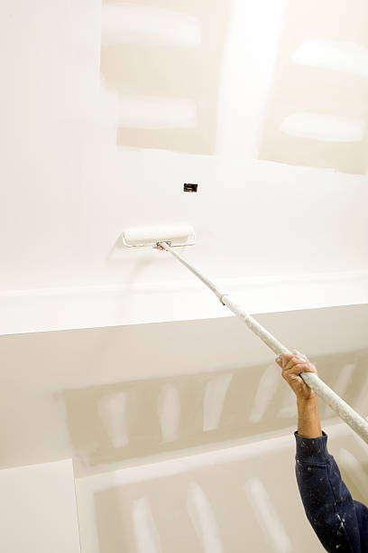Best Environmental Consulting for Mold Prevention  in San Juan Bautista, CA